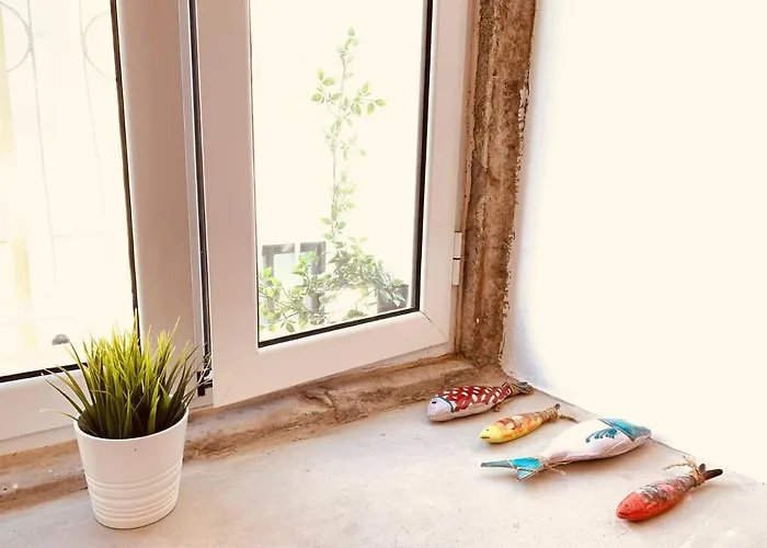 Lovely Loft Сетубал